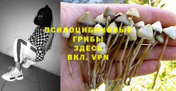 spice Вяземский