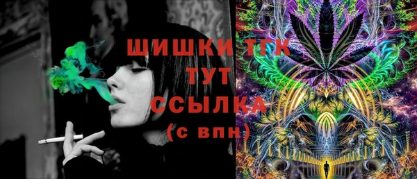spice Вяземский