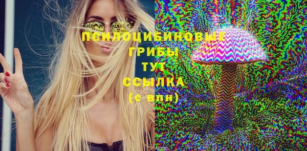 spice Вяземский