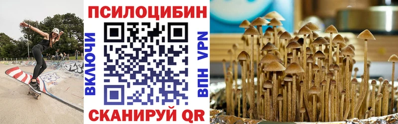 где продают   Юрга  блэк спрут зеркало  Галлюциногенные грибы прущие грибы 